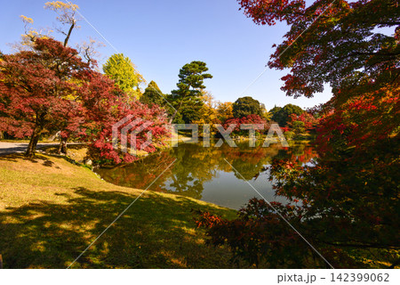 京都仙洞御所　北池　女院御所の池　紅葉 142399062