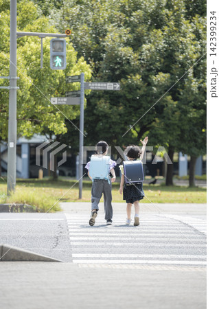 横断歩道を渡って通学するランドセル姿の子供たち 横断歩道を渡って通学するランドセル姿の子供たち 142399234