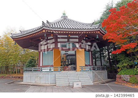 西新井大師(足立) 西新井大師(足立) 142399465