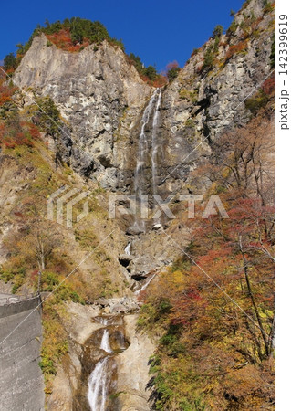 秋の白山白川郷ホワイトロード ふくべの大滝 秋の白山白川郷ホワイトロード ふくべの大滝 142399619