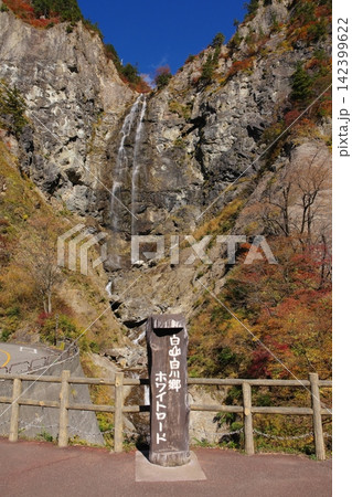 秋の白山白川郷ホワイトロード ふくべの大滝 秋の白山白川郷ホワイトロード ふくべの大滝 142399622