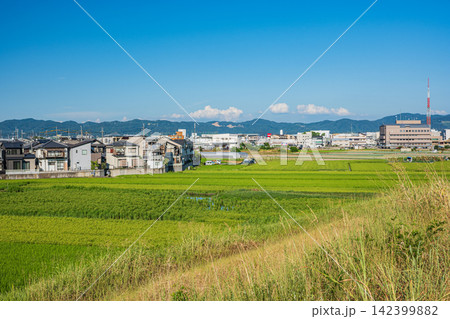久御山町の田園風景 142399882