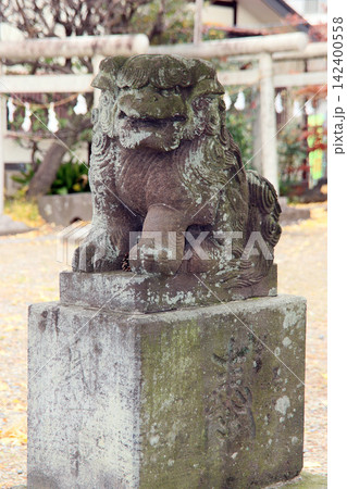六月八幡神社(足立) 六月八幡神社(足立) 142400558