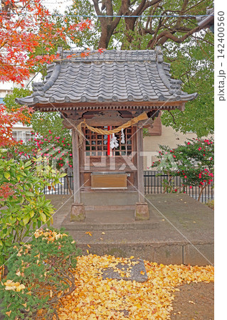 六月八幡神社(足立) 六月八幡神社(足立) 142400560