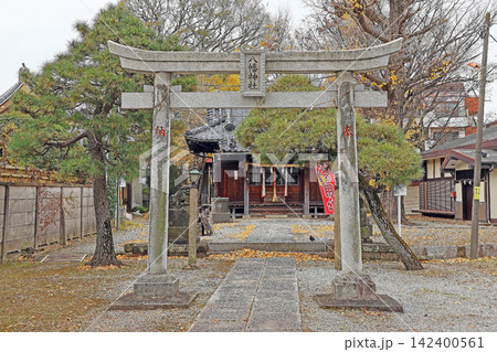 六月八幡神社（足立） 142400561