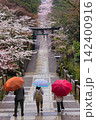 雨の桜咲く参道 142400916