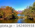 大沼公園の紅葉 142400938