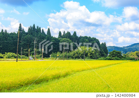 夏から秋へ移り変わる日本の美しい農村風景 夏から秋へ移り変わる日本の美しい農村風景 142400984