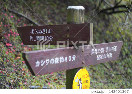 道標(櫟山・カシワの森・黒竜の滝) 道標(櫟山・カシワの森・黒竜の滝) 142401367