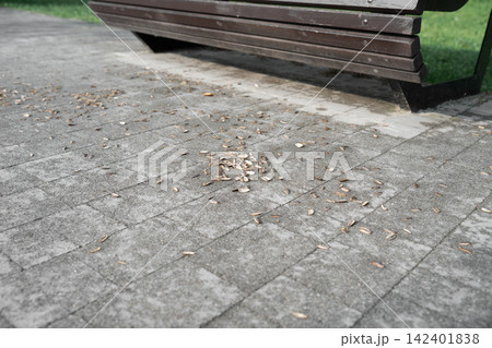 High angle close-up shot of a messy city pavement covered with garbage and debris. Conceptual imagery of urban pollution, vandalism, and environmental neglect in a public space 142401838