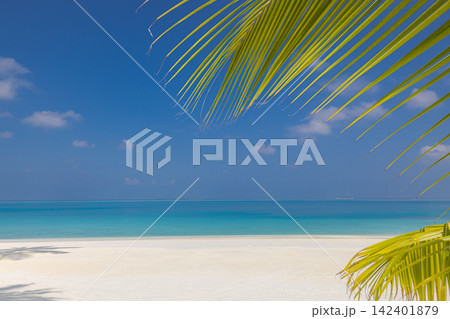 Serene bright azure shallows powdery shore palm shadow blue sky wispy clouds tropical island paradise. Summer travel vacation landscape scenic. Exotic getaway wallpaper backdrop Serene bright azure shallows powdery shore palm shadow blue sky wispy clouds tropical island paradise. Summer travel vacation landscape scenic. Exotic getaway wallpaper backdrop 142401879