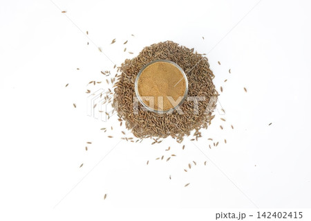 Brown and green sunflower seed with scattered seeds Brown and green sunflower seed with scattered seeds 142402415