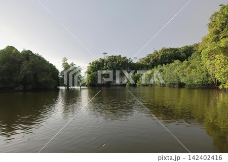 Calm river flowing through green trees and hills Calm river flowing through green trees and hills 142402416