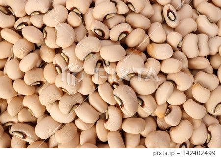 Close-up of beige chickpeas in a pile for cooking or food 142402499
