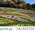 花畑 142402558