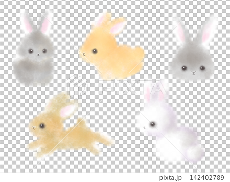 Fluffy Bunny Fluffy Bunny 142402789