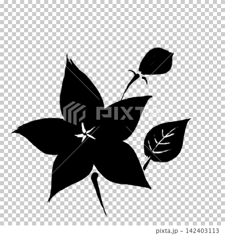 筆で描いた秋の七草_桔梗_墨 筆で描いた秋の七草_桔梗_墨 142403113
