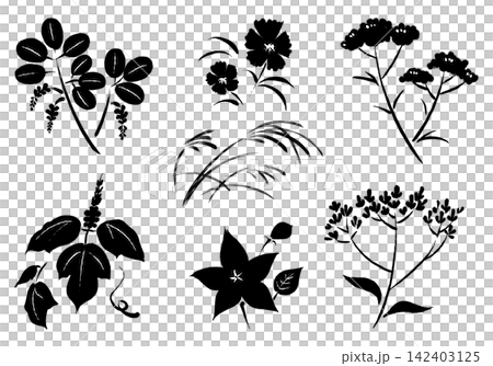 Autumn's Seven Flowers Painted with a Brush - Ink Set 142403125