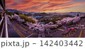 Sunset over city with pink cherry blossom trees and buildings 142403442