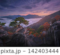 Sunset over mountains with trees and colorful sky 142403444