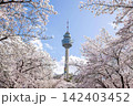 Tall tower amidst snow-covered trees in winter scene 142403452