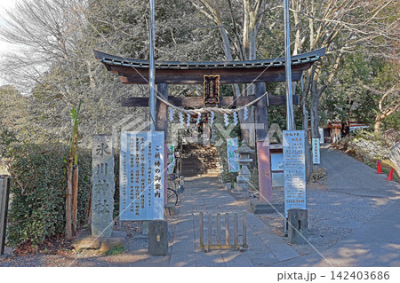 南沢氷川神社(東久留米) 南沢氷川神社(東久留米) 142403686