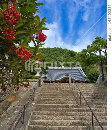 夏空と山寺 夏空と山寺 142403886