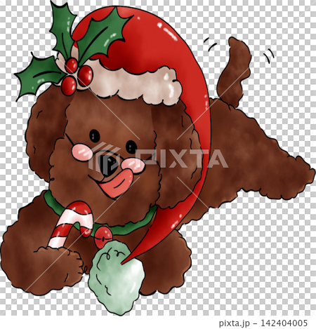 Poodle dog Xmas Poodle dog Xmas 142404005