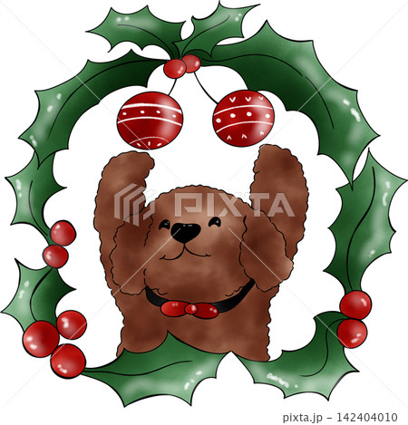 Poodle dog Xmas Poodle dog Xmas 142404010