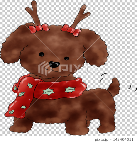Poodle dog Xmas Poodle dog Xmas 142404011