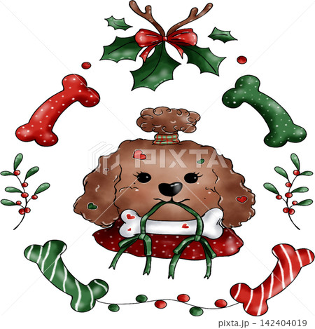 Poodle dog Xmas Poodle dog Xmas 142404019