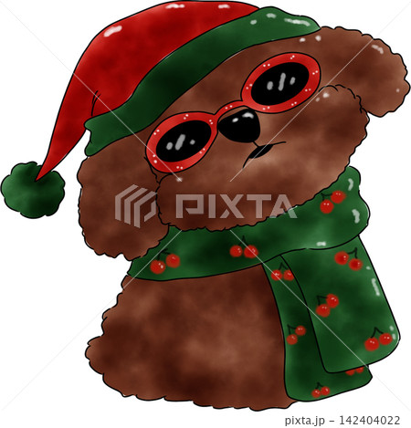 Poodle dog Xmas Poodle dog Xmas 142404022