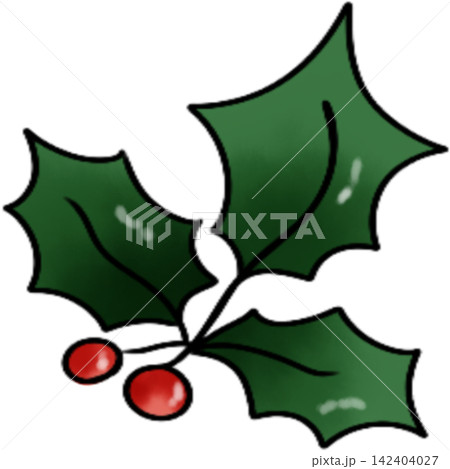 Poodle dog Xmas  142404027
