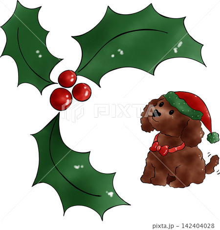 Poodle dog Xmas Poodle dog Xmas 142404028