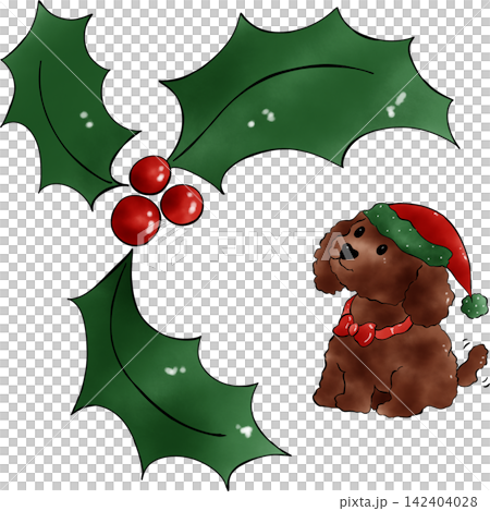 Poodle dog Xmas Poodle dog Xmas 142404028