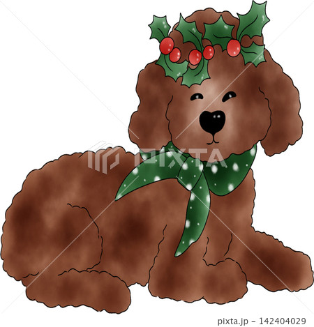 Poodle dog Xmas Poodle dog Xmas 142404029