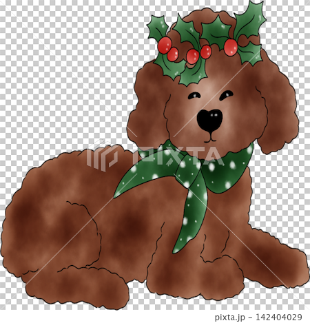 Poodle dog Xmas Poodle dog Xmas 142404029