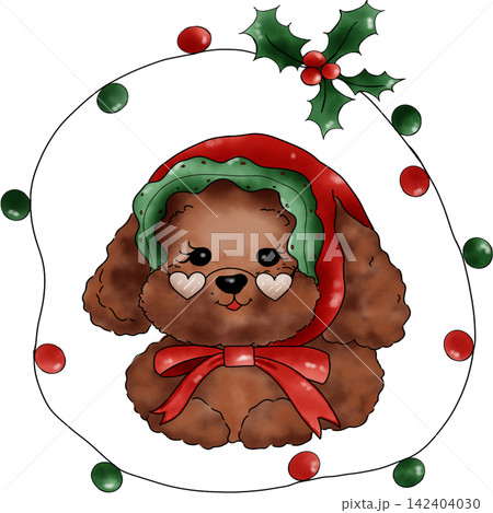 Poodle dog Xmas Poodle dog Xmas 142404030