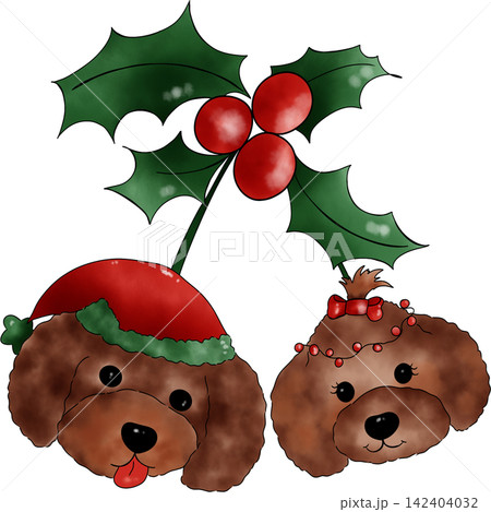 Poodle dog Xmas Poodle dog Xmas 142404032