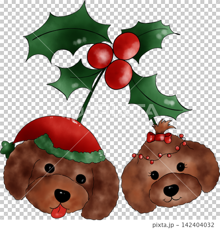 Poodle dog Xmas Poodle dog Xmas 142404032
