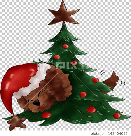 Poodle dog Xmas Poodle dog Xmas 142404035