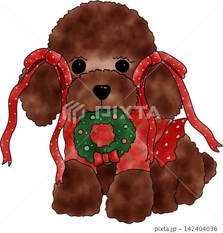 Poodle dog Xmas  142404036