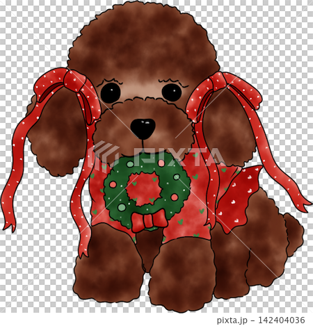 Poodle dog Xmas  142404036