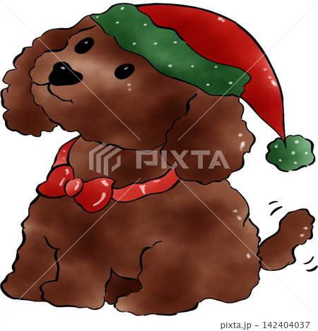Poodle dog Xmas Poodle dog Xmas 142404037