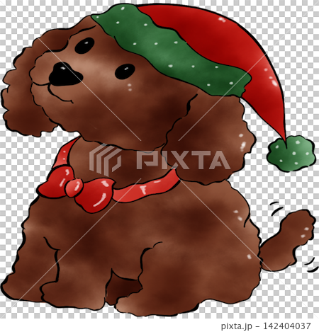 Poodle dog Xmas Poodle dog Xmas 142404037