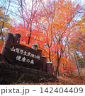 紅葉　武田の杜　トレッキング 142404409