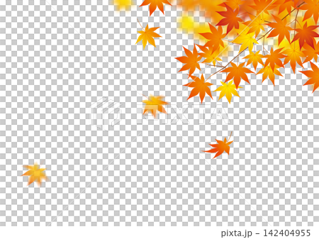 Autumn imagery: 17 autumn leaves Autumn imagery: 17 autumn leaves 142404955