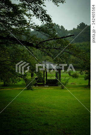 雨の日の茂木町「城山公園」 雨の日の茂木町「城山公園」 142405564