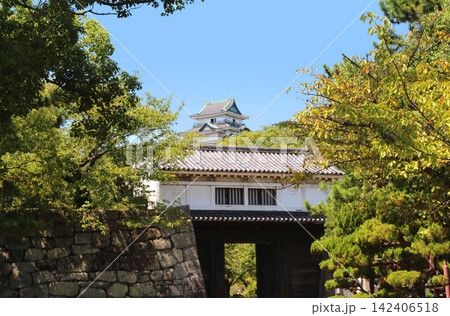青空と和歌山城の岡口門 青空と和歌山城の岡口門 142406518