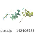 枝 142406583